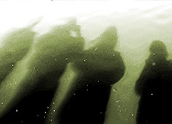 community shadow